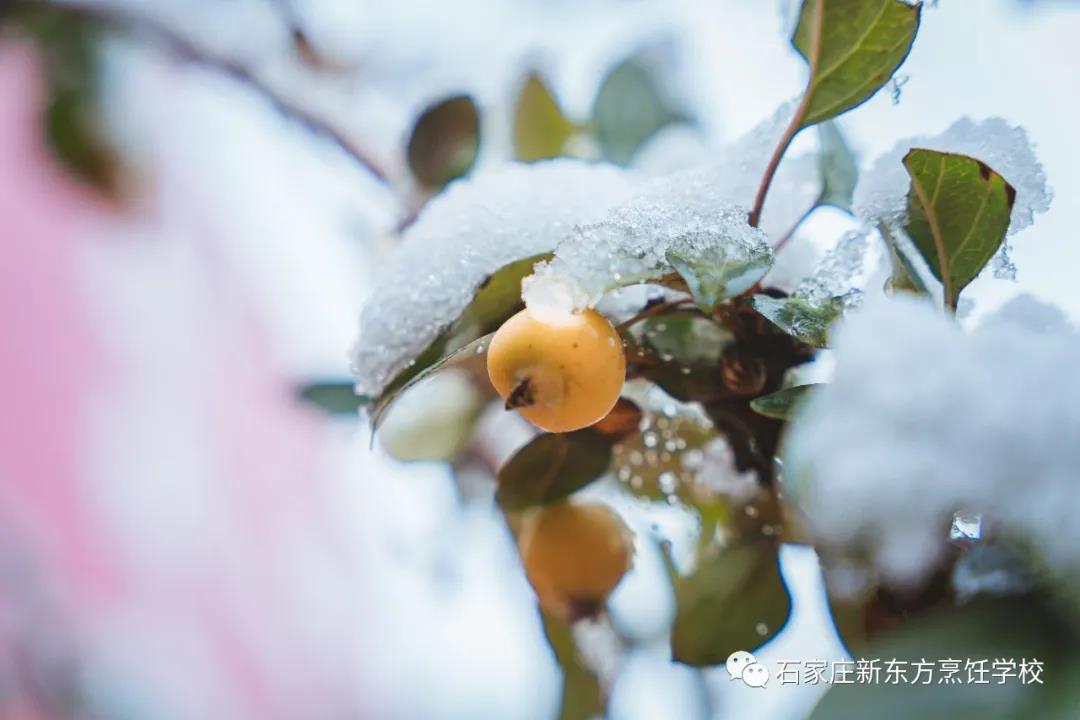 爸媽放心吧，立冬的餃子我已經(jīng)吃上啦！