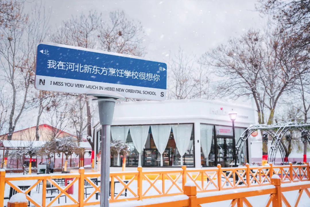 在河北新東方，邂逅一場浪漫雪景~